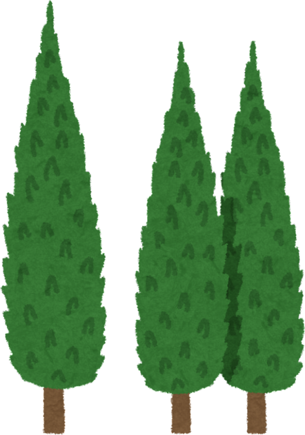 Illustration of Italian Cypress Trees